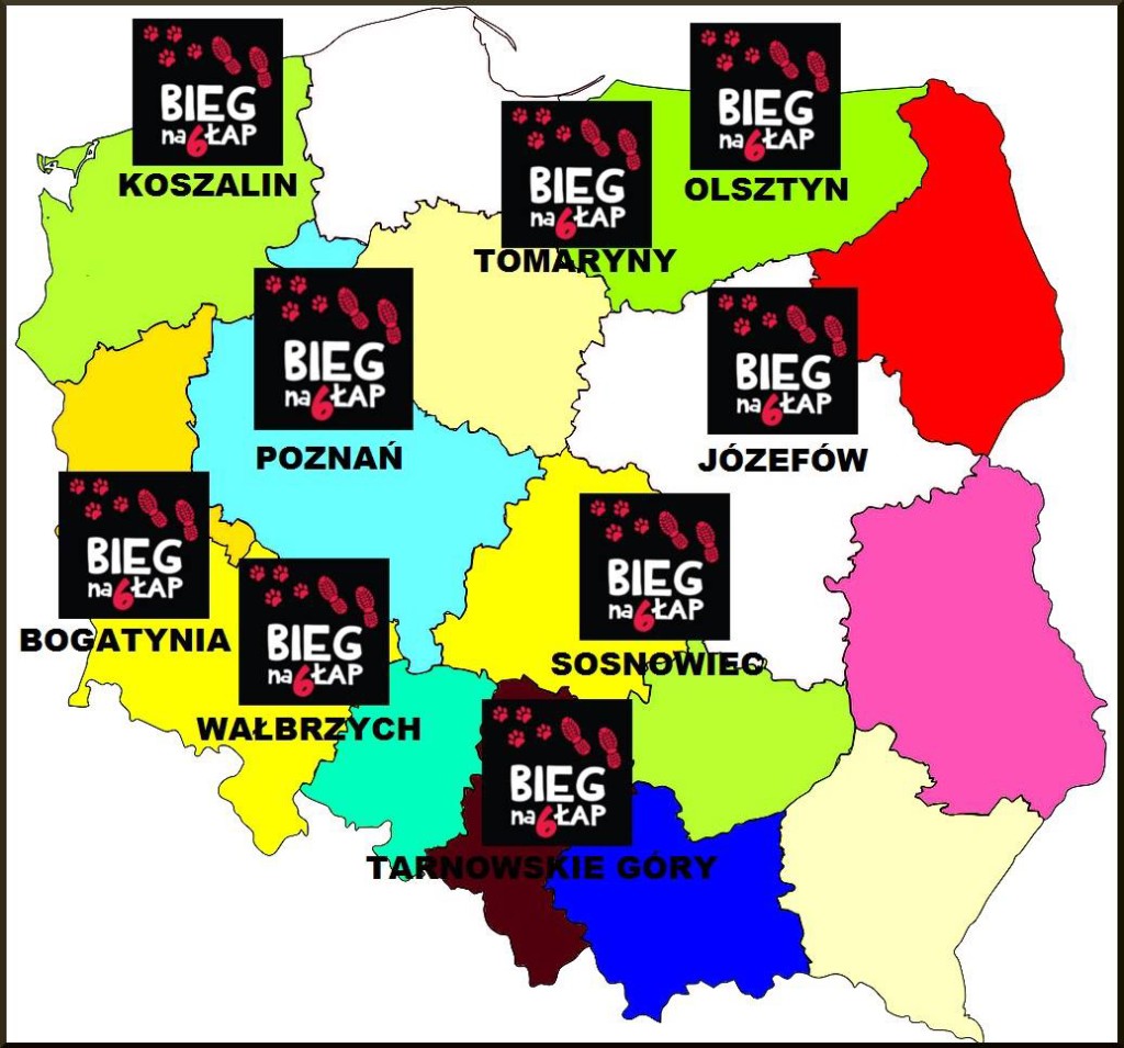 Mapa schronisk akcji Bieg Na Sześć Łap