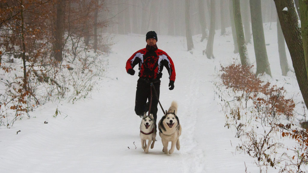 Foto: Zbyszek Skupiński