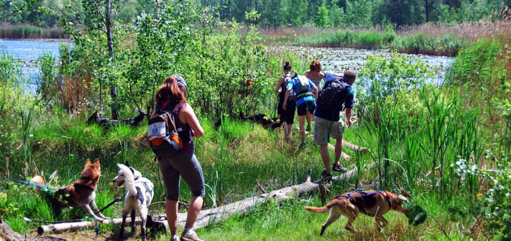 Foto: www.dogorient.pl