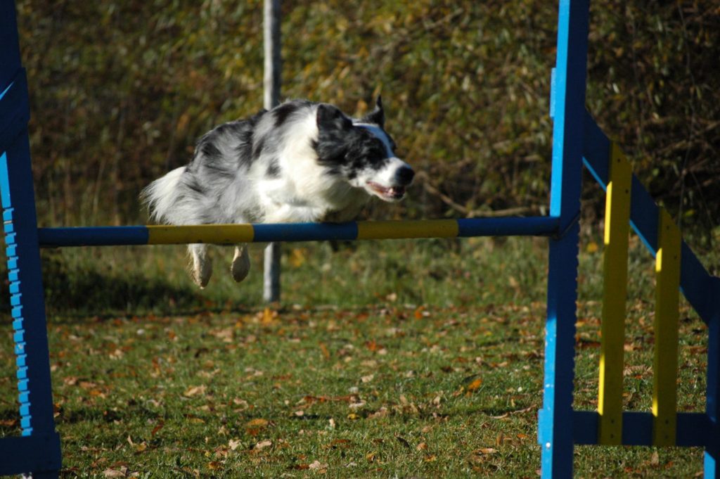 Foto: Monika Niewiadomska