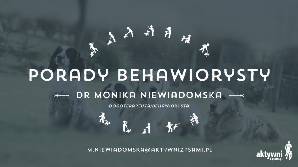 porady_behawiorysty_azp