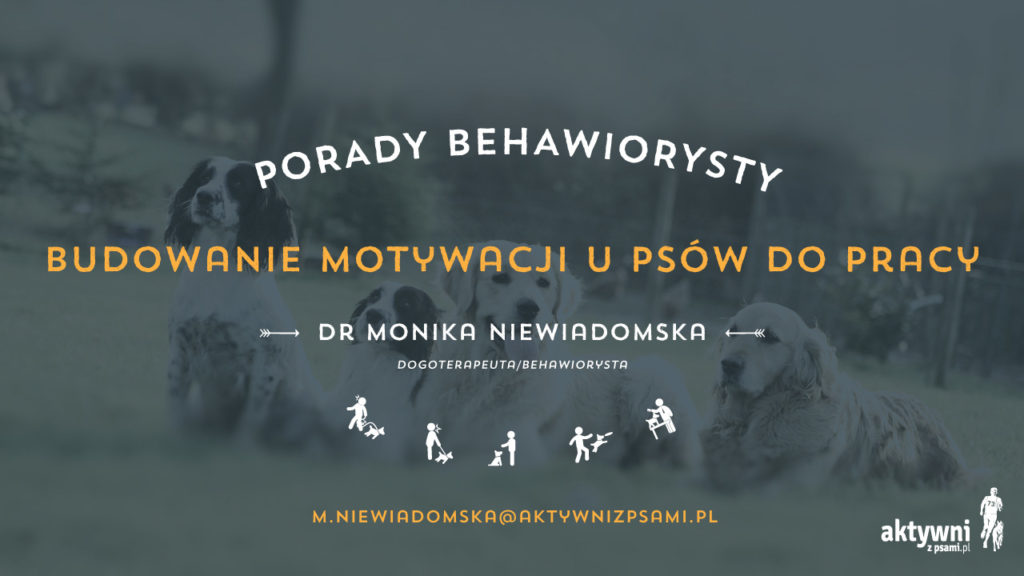 porady_behawiorysty_02