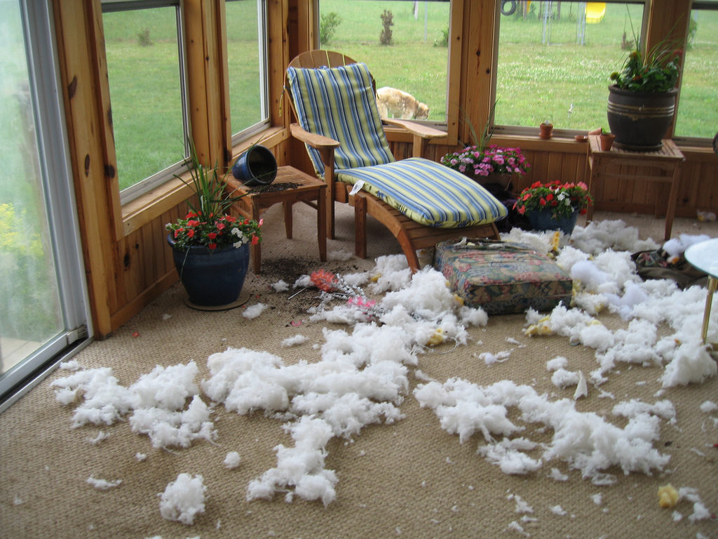 foto:themaroon / Foter / CC BY-NC-ND