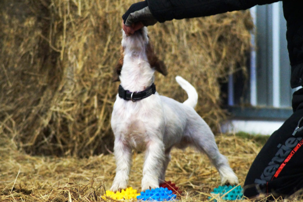 fot.3 autor: Wojciech Sadurski