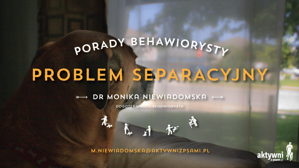 foto: khowaga1 / Foter / CC BY-NC