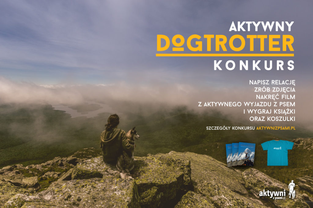 aktywny_dogtrotter2