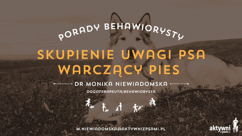 porady_behawiorysty