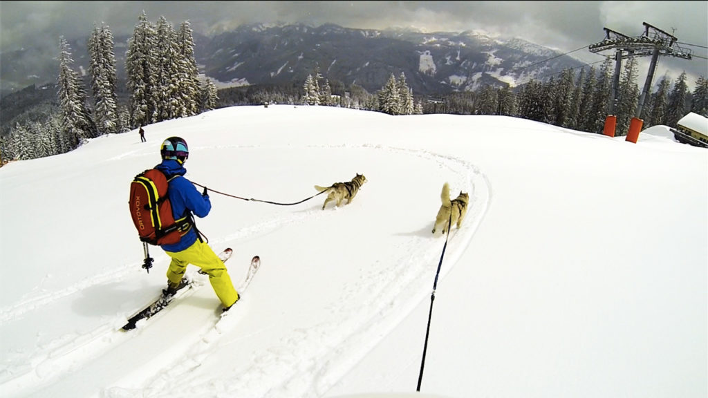 foto Adventure Dogs