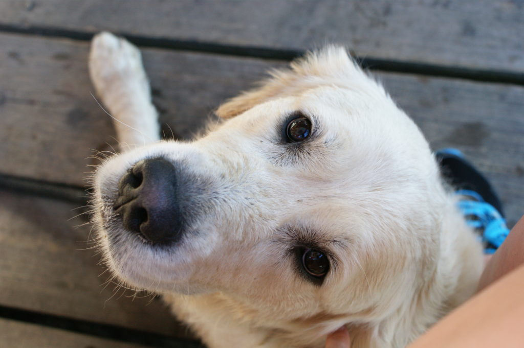 foto Patrycja i Michał Szulc