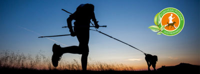 10985871_887963417913021_2857766989661621256_n