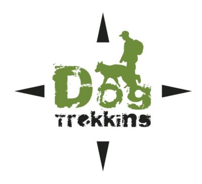 523948_351016108267351_1149538556_n