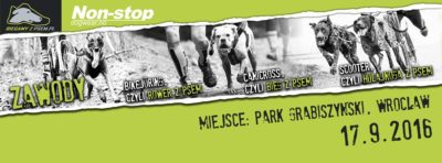 13710622_1075017819251759_145346082911586235_o