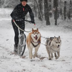 Foto: Mariusz Kostrzewa