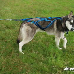 Szelki SLED firmy SALI