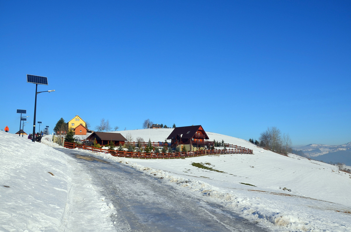 DSC_3950 DSC_3950