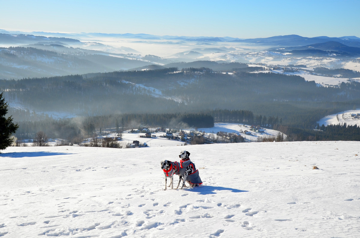 DSC_4051 DSC_4051