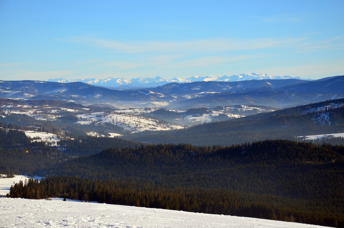 DSC_4100 DSC_4100