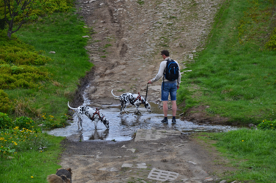 DSC_0754 DSC_0754