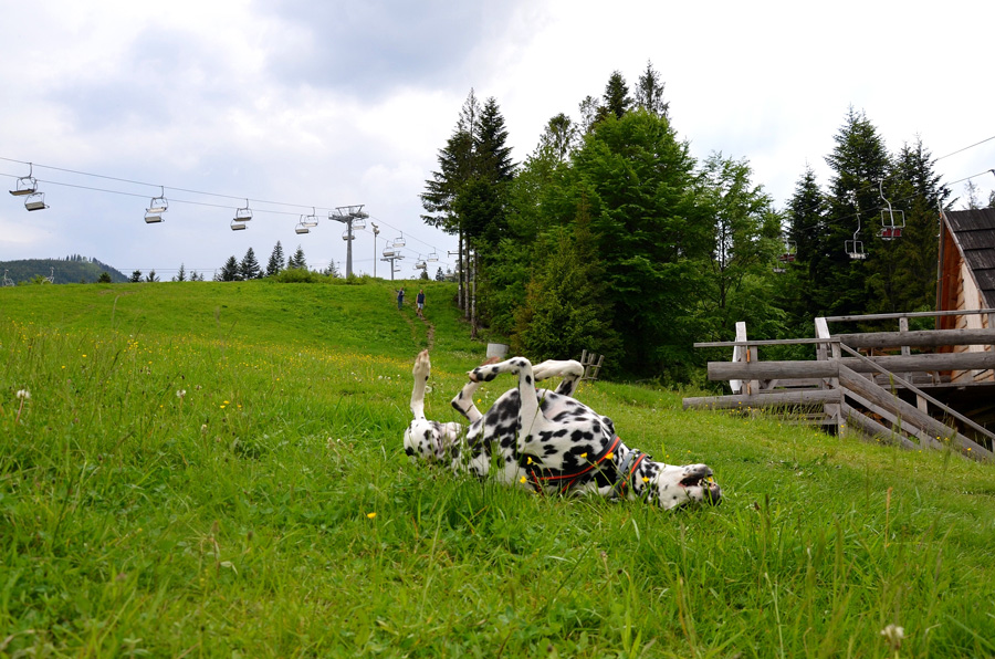 DSC_0778 DSC_0778